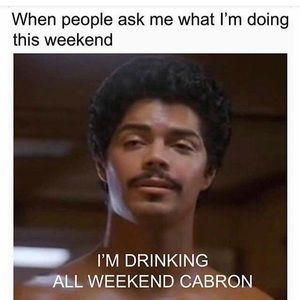 Meet your Posher, Oscar